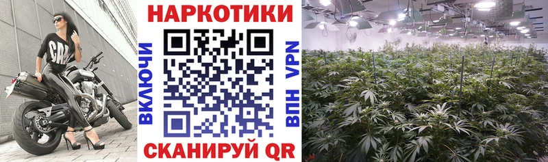 Где купить Кубинка Кокаин Амфетамин ГАШ Марихуана Меф Альфа ПВП