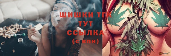 дживик Пересвет