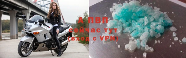 дживик Пересвет