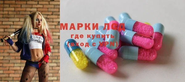 дживик Пересвет