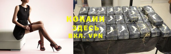 дживик Пересвет