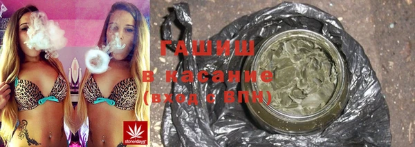 дживик Пересвет