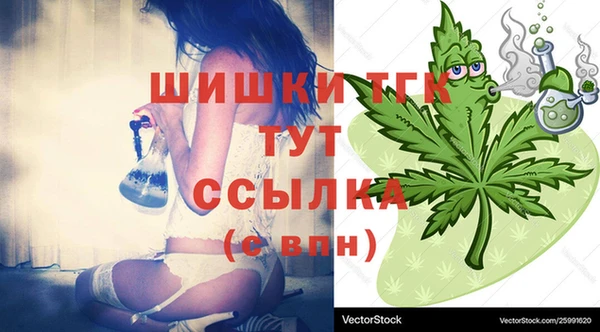 тгк Пестово
