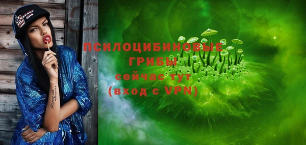 тгк Пестово