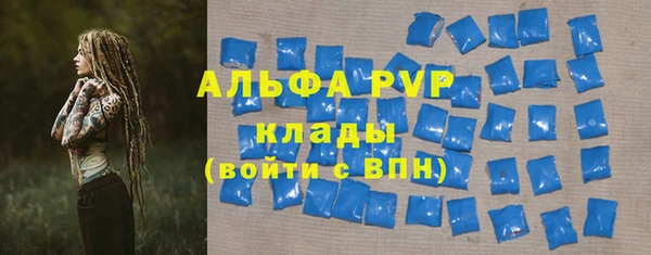 дживик Пересвет