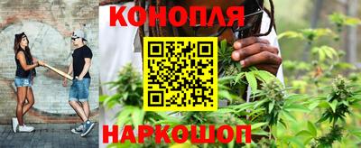 spice Кандалакша