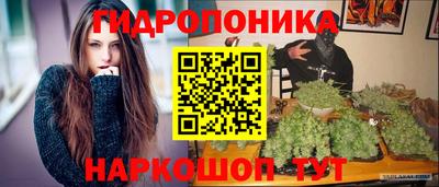 spice Кандалакша