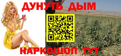 сатива Балахна