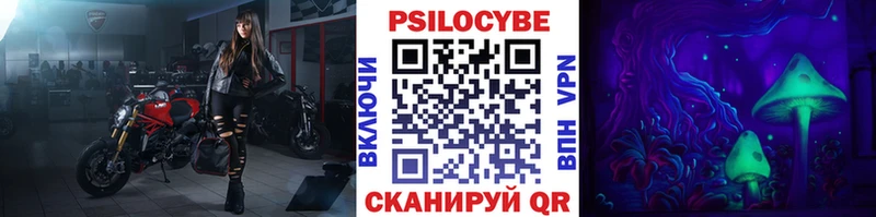 где можно купить   кракен зеркало  Псилоцибиновые грибы Magic Shrooms  Кубинка 