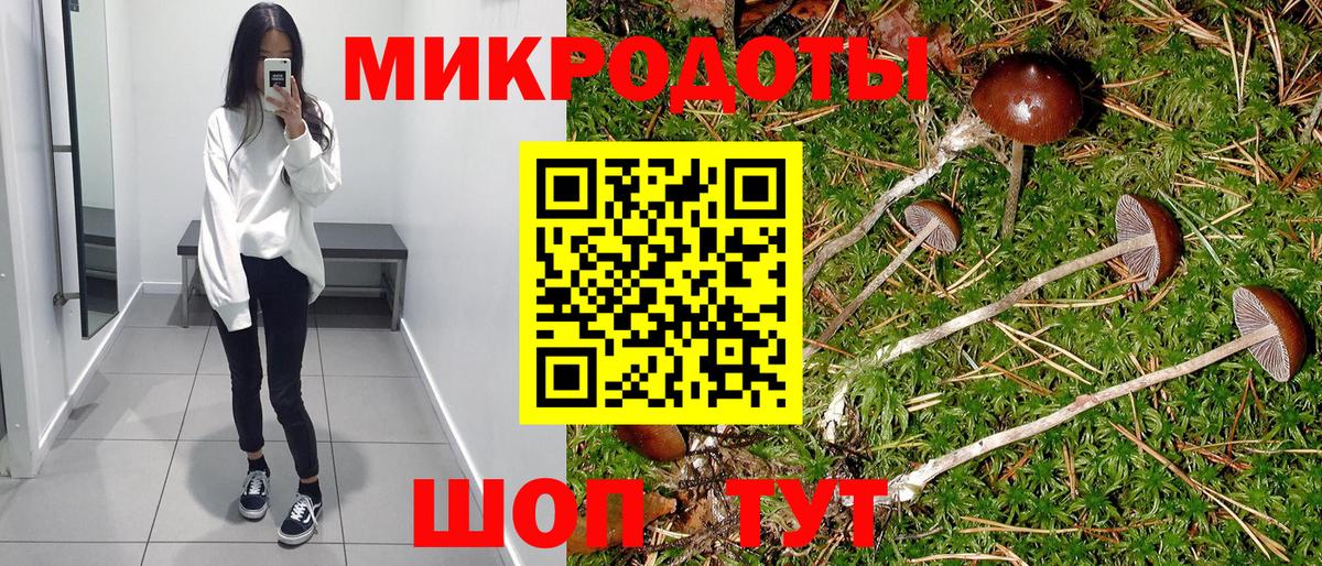 Галлюциногенные грибы Psilocybe  Псилоцибиновые грибы Magic Shrooms  Кубинка  Вход с VPN 